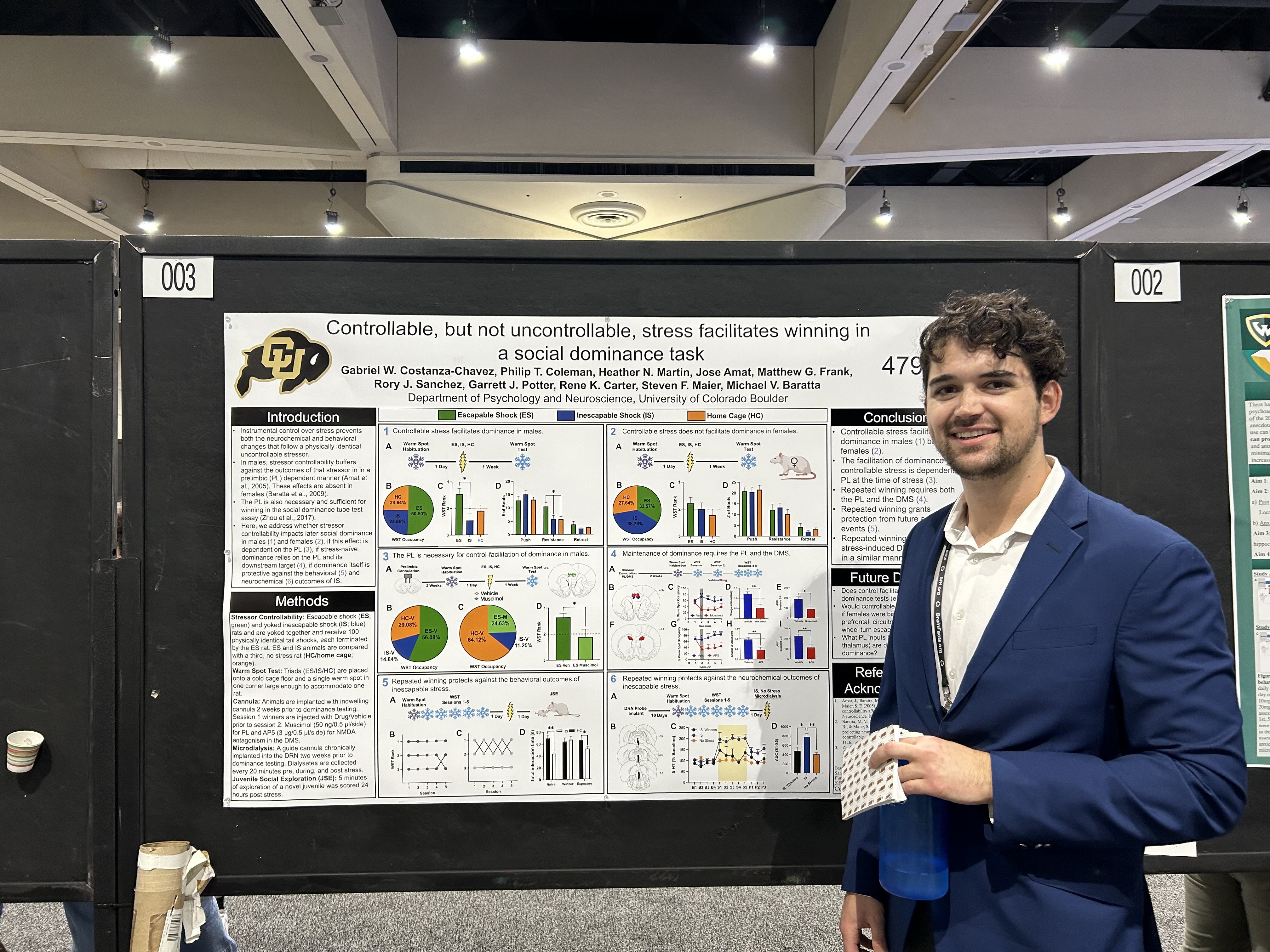 Brain fluorescent image 5